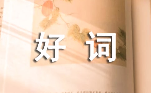 茑ĺ~þ