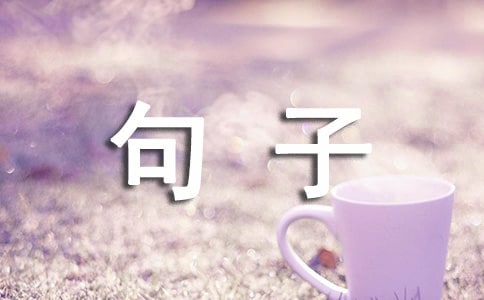 (sh)á2024пӺϼ90l