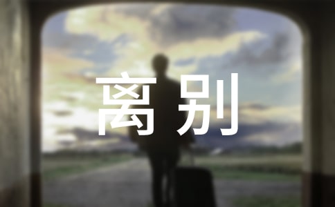 cxe⡱_650