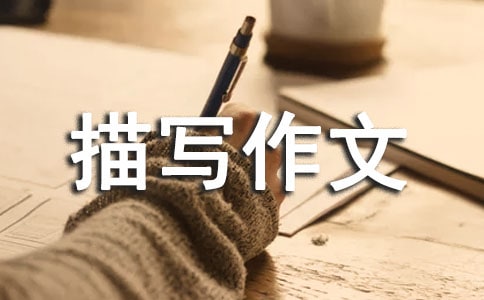 СW(xu)꼉(j)茑