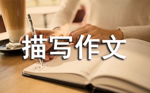 ò茑