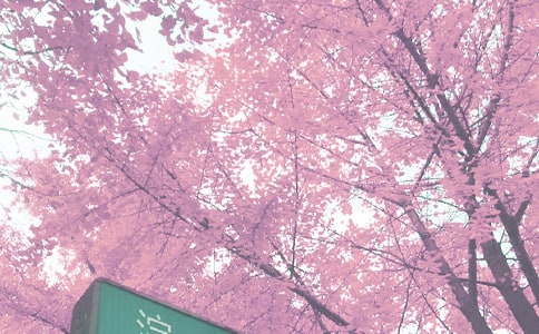 ＾С㕽ӹY(ji)