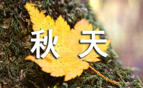 茑ĺ~þö