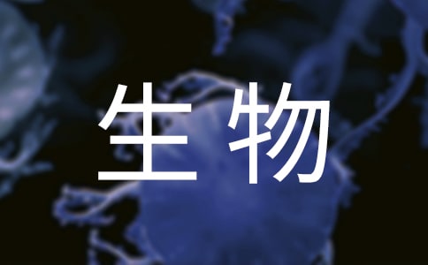 ýιY(ji)