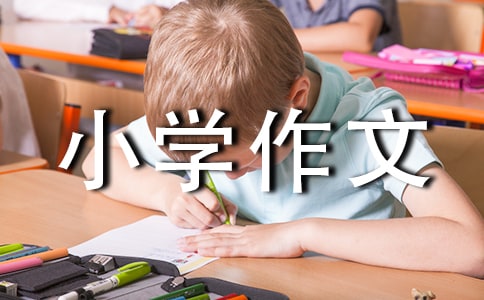СW(xu)ز