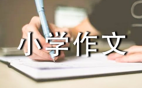 СW(xu)(15ƪ)