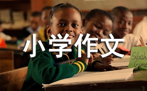 yСW(xu)
