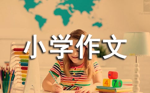 ȤСW(xu)