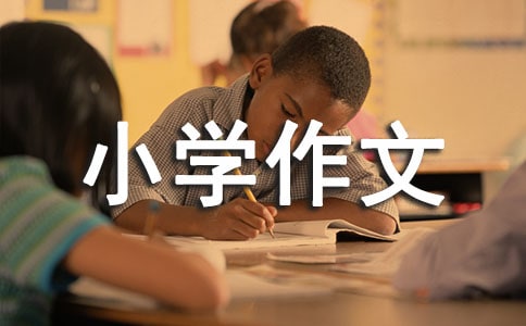 ƷĿеСW(xu)ƪ