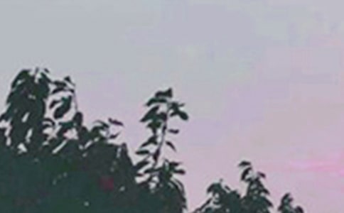 (jng)Ȧ簲100侫x