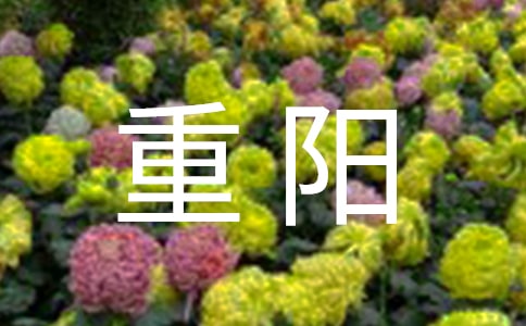 關(guān)于重陽的經(jīng)典優(yōu)美詩歌(精選7首)